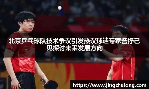 北京乒乓球队技术争议引发热议球迷专家各抒己见探讨未来发展方向